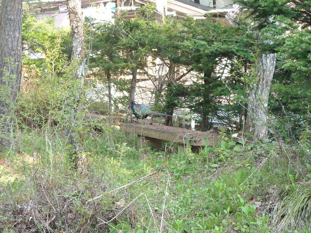 Hida Gasshoen Takayama  Exteriör bild